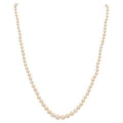 Cultured Pearl Necklace