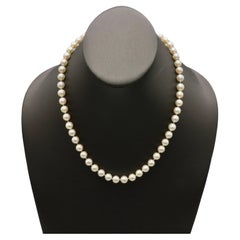 Cultured Pearl Necklace With 14 Karat Yellow Gold Clasp