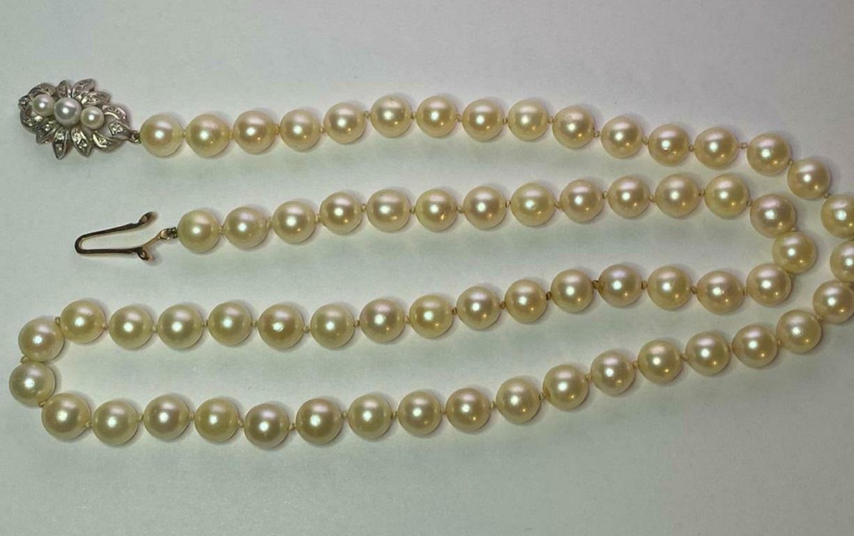 Avec un fermoir à diamants en or jaune 18ct, tous assortis individuellement.

Informations supplémentaires :
Taille des perles : 8/8.5mm 
Poids total : 54,2 g
Longueur du collier : 26