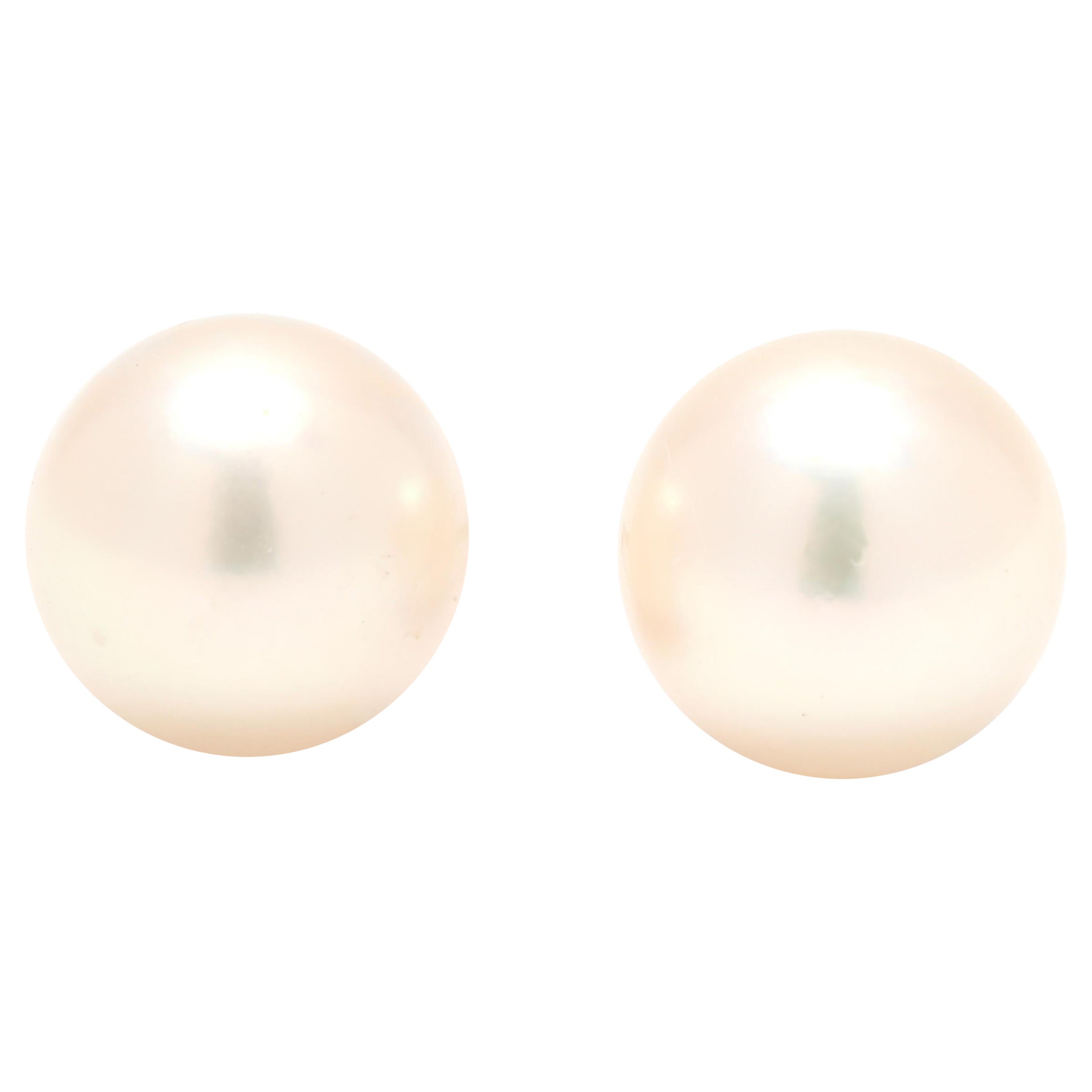 Orecchini con perle coltivate, oro giallo 14k, larghezza 7,3 mm, per tutti i giorni