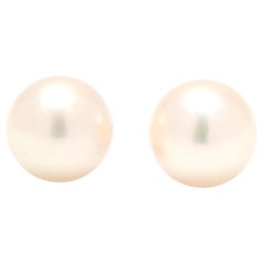 Orecchini con perle coltivate, oro giallo 14k, larghezza 7,3 mm, per tutti i giorni