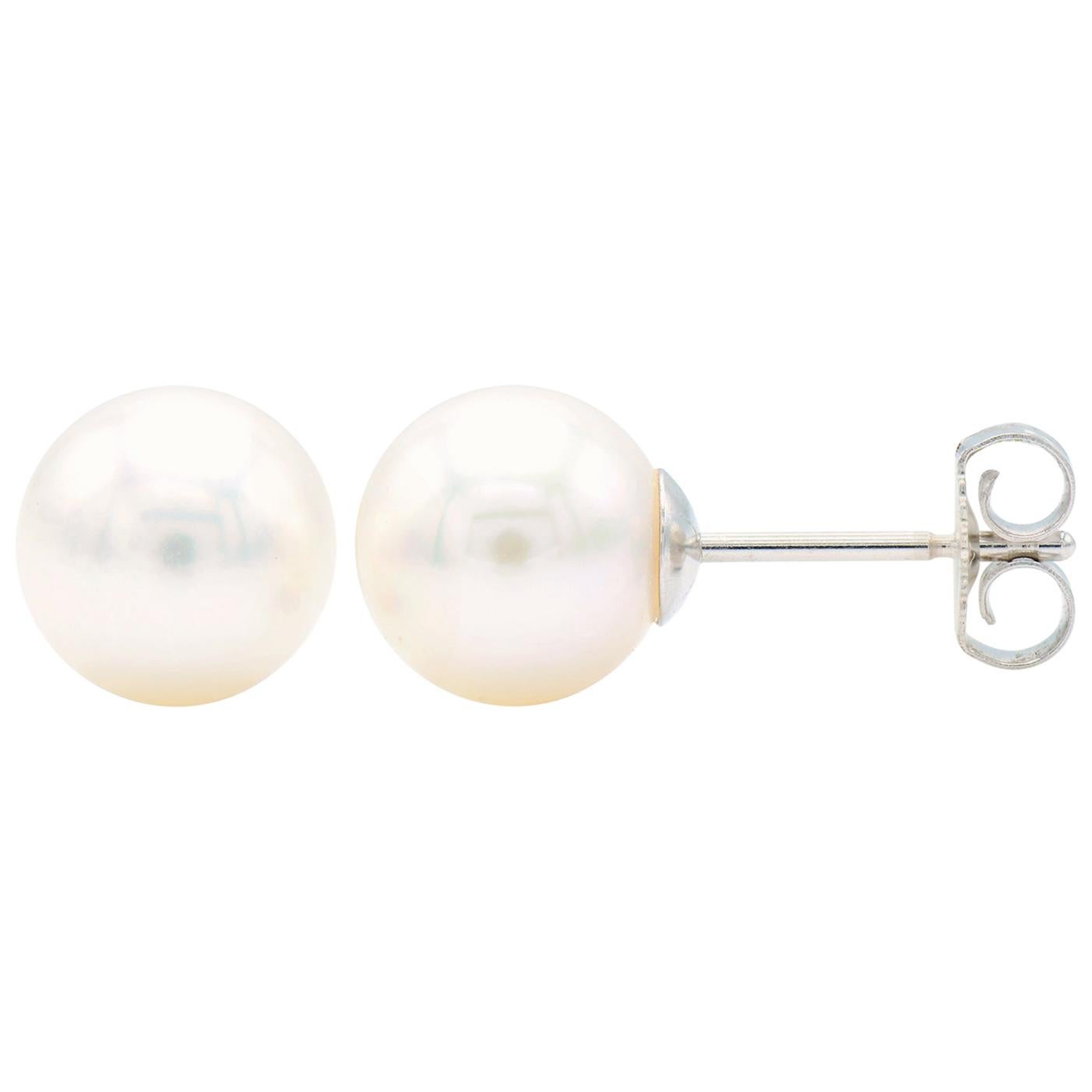 Cultured Pearl Stud Earrings with 14 Karat White Gold Post and Back For Sale