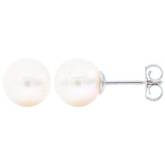 7.5-8mm Cultured Pearl Stud Earrings with 14 Karat White Gold Posts and Backs