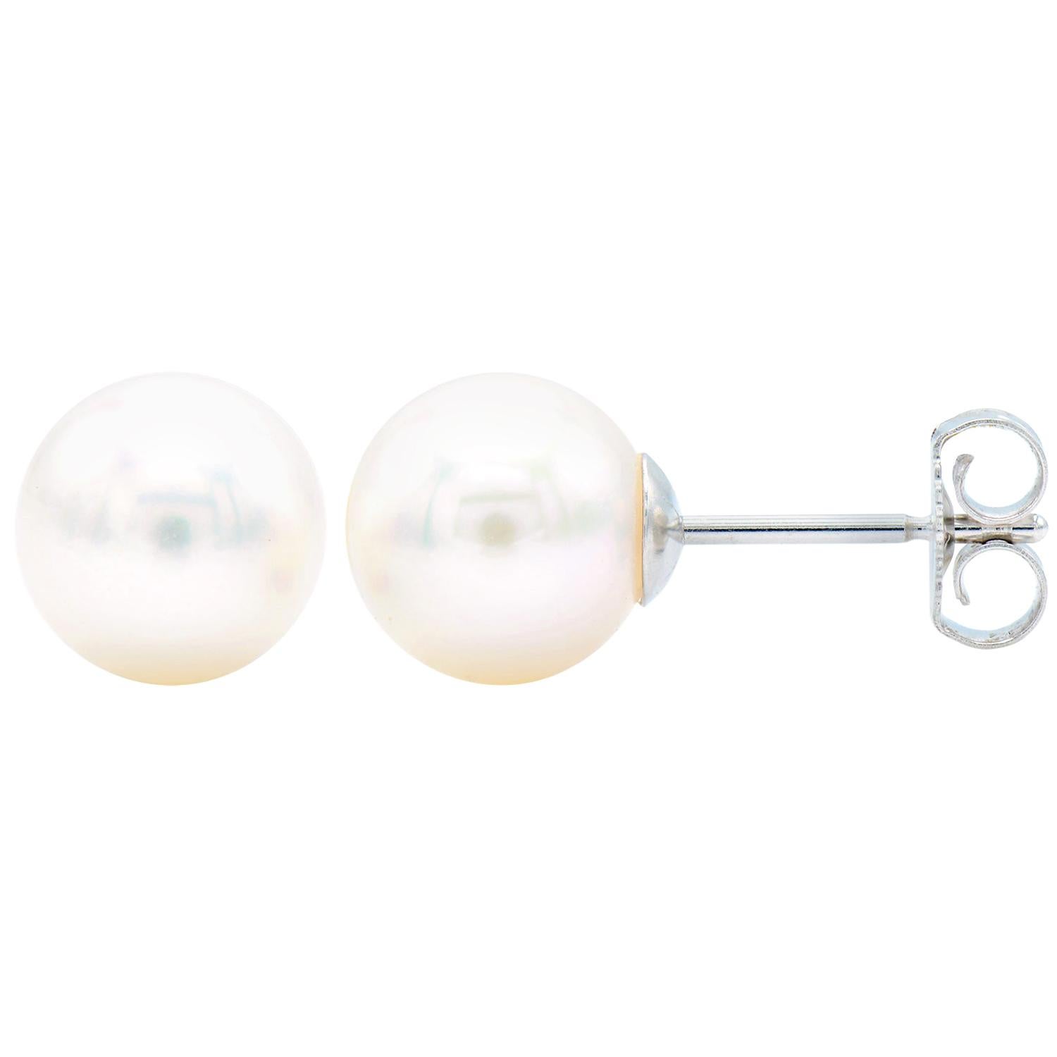Clous d'oreilles en perles de culture de 8 à 8,5 mm avec tige et dos en or blanc 14 carats