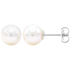 8.5-9mm Cultured Pearl Stud Earrings with 14 Karat White Gold Posts and Backs