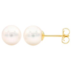 6.5-7mm Cultured Pearl Stud Earrings with 14 Karat Yellow Gold Posts and Backs
