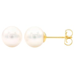 7.5-8mm Cultured Pearl Stud Earrings with 14 Karat Yellow Gold Posts and Backs