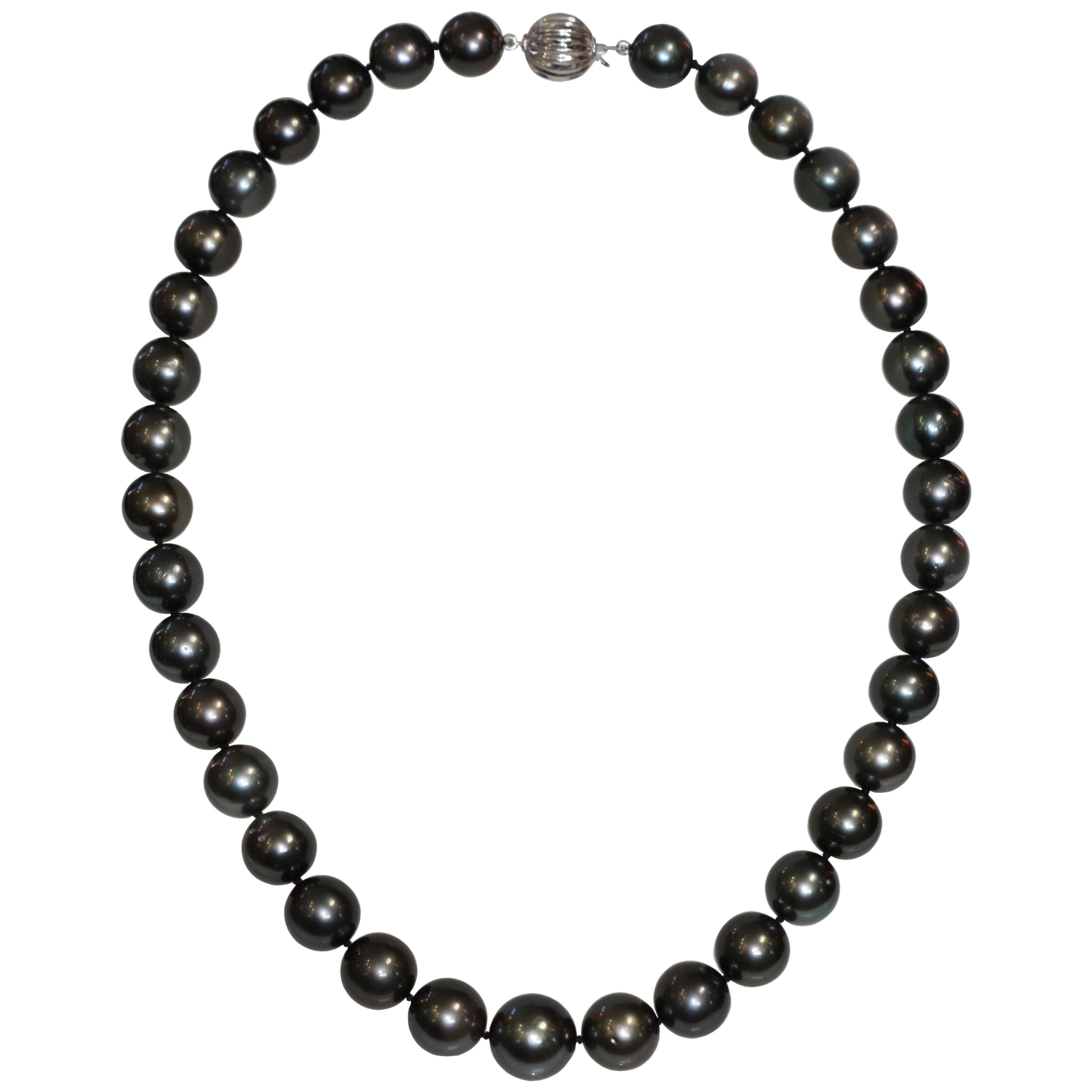 Cultured South Sea Pearl Necklace