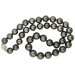 Cultured Tahitian Pearl Necklace