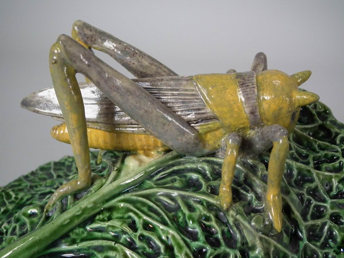 Glazed Cunha Palissy Majolica Grasshopper Wall Pocket