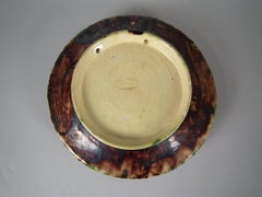 Cunha Palissy Majolica Lizard, Snake and Insect Plate