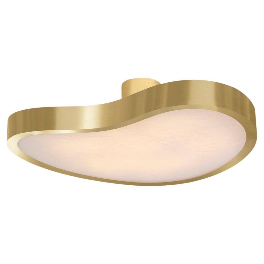 Cuore Grande Ceiling Light by Gaspare Asaro-Satin Brass Finish