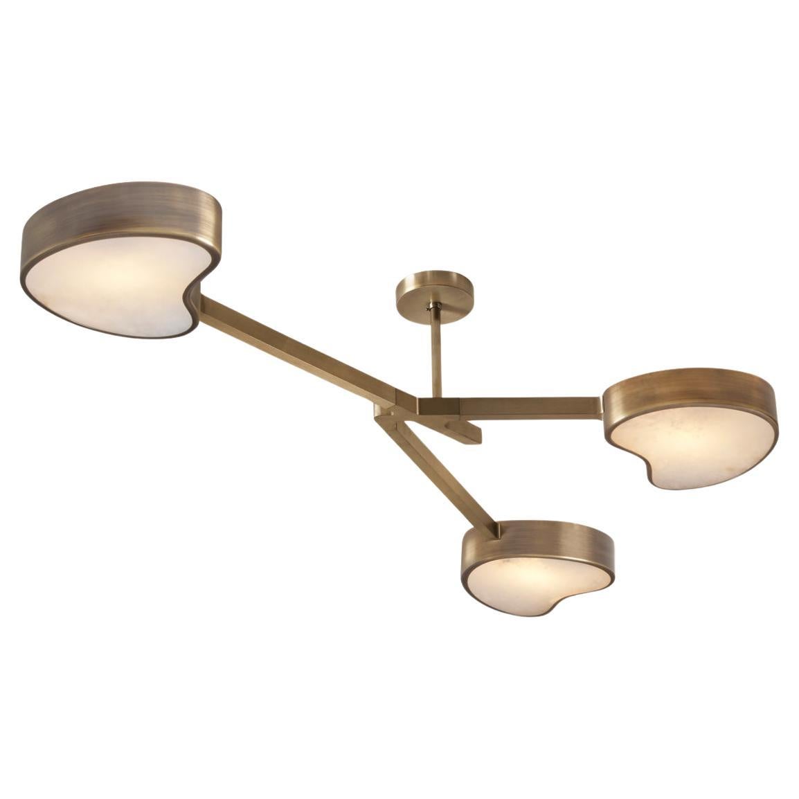 Cuore N.3 Ceiling Light by Gaspare Asaro. Bronze Finish