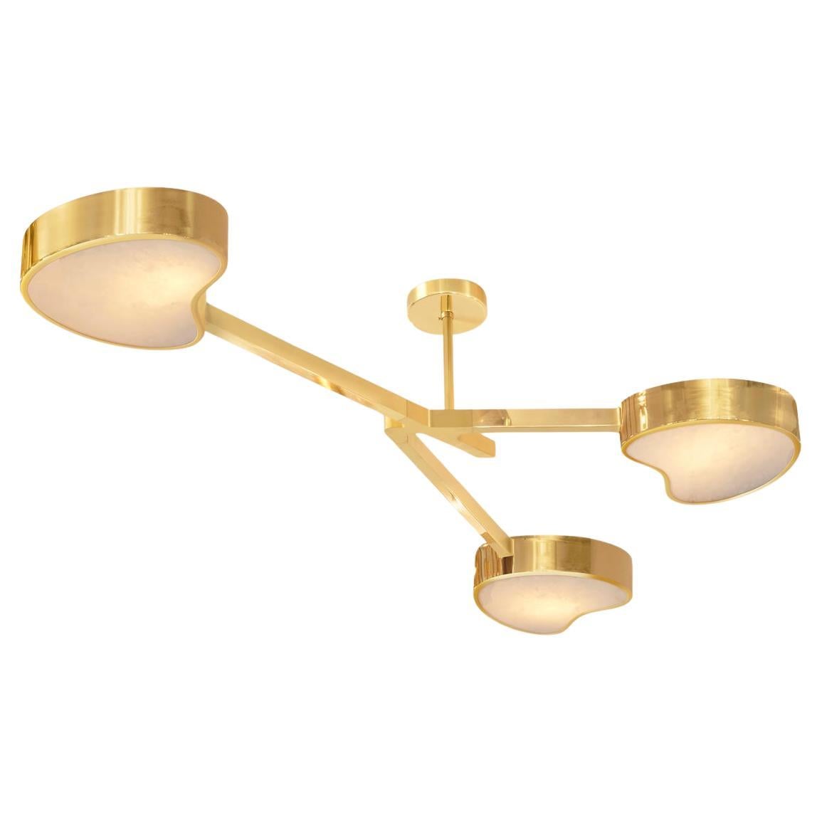 Cuore N.3 Ceiling Light by Gaspare Asaro. Polished Brass Finish For Sale