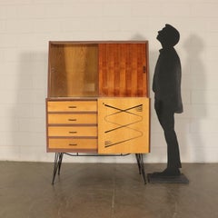 Cupboard Mahogany and Ash Veneer, Metal, Polyester, Italy, 1960s