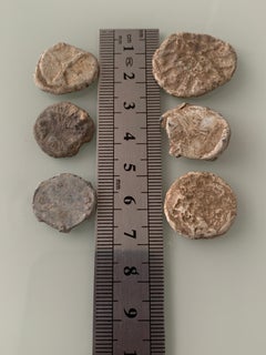 Curated Collection of Six Antique and Vintage Lead Merchant Bale Seals
