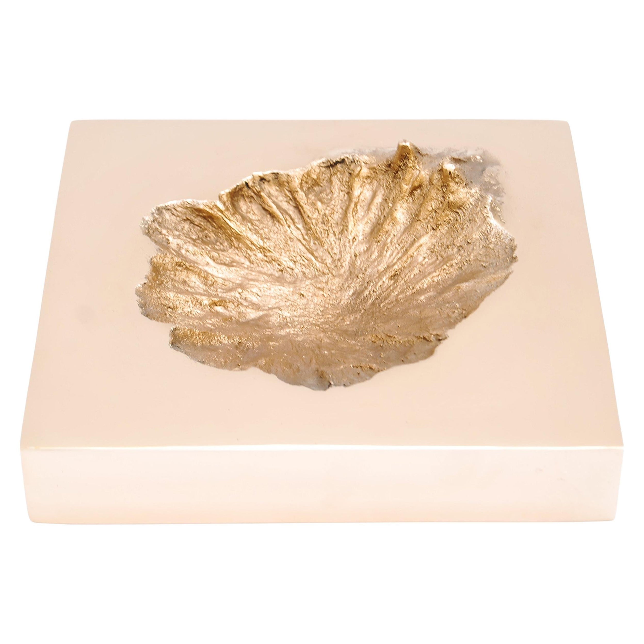 Cure Bowl di Fakasaka Design