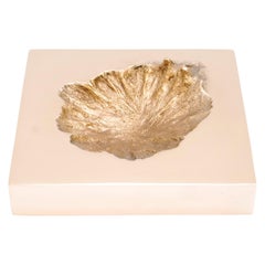 Cure Bowl di Fakasaka Design