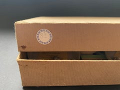 Curiosité Cabinet Collection of Shell Circa 1900