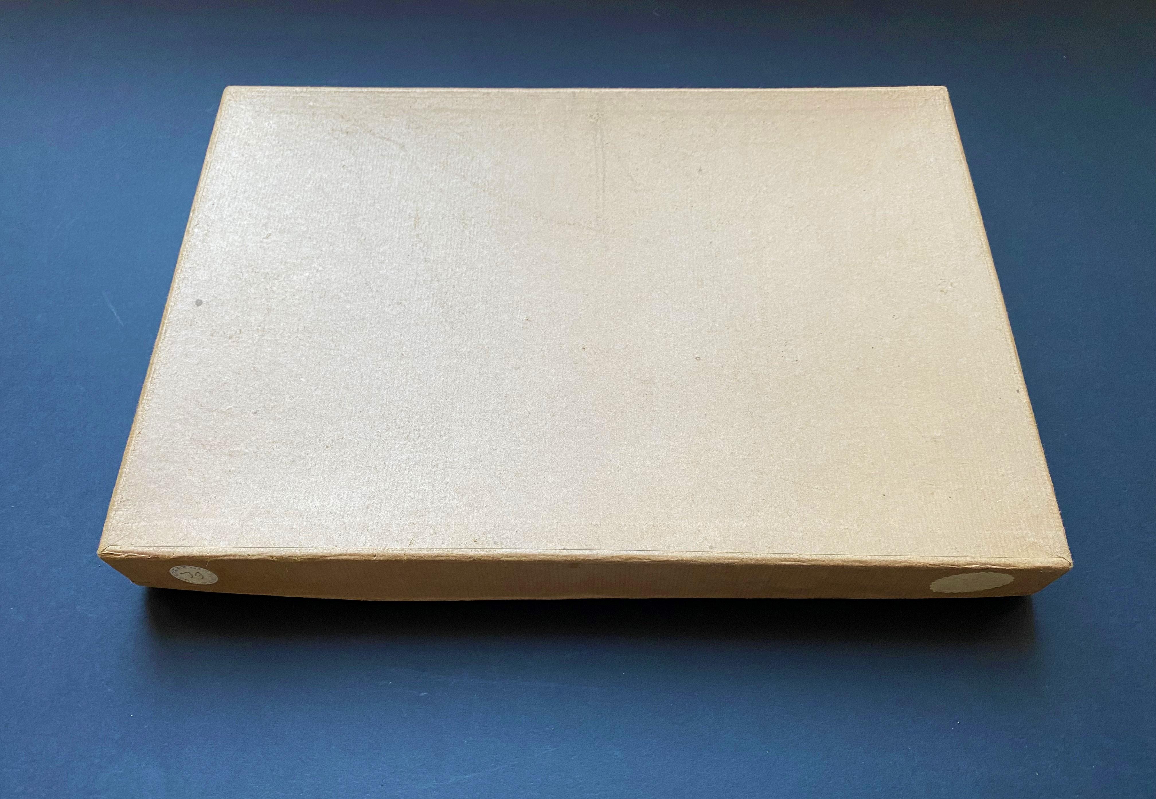 Collezione di conchiglie del Gabinetto delle Curiosità, circa 1900 in vendita 3