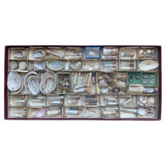Curiosity Cabinet Naturalism Collection of Shell circa 1900 Antique Curiosity Cabinet Naturalism Collection of Shell circa 1900