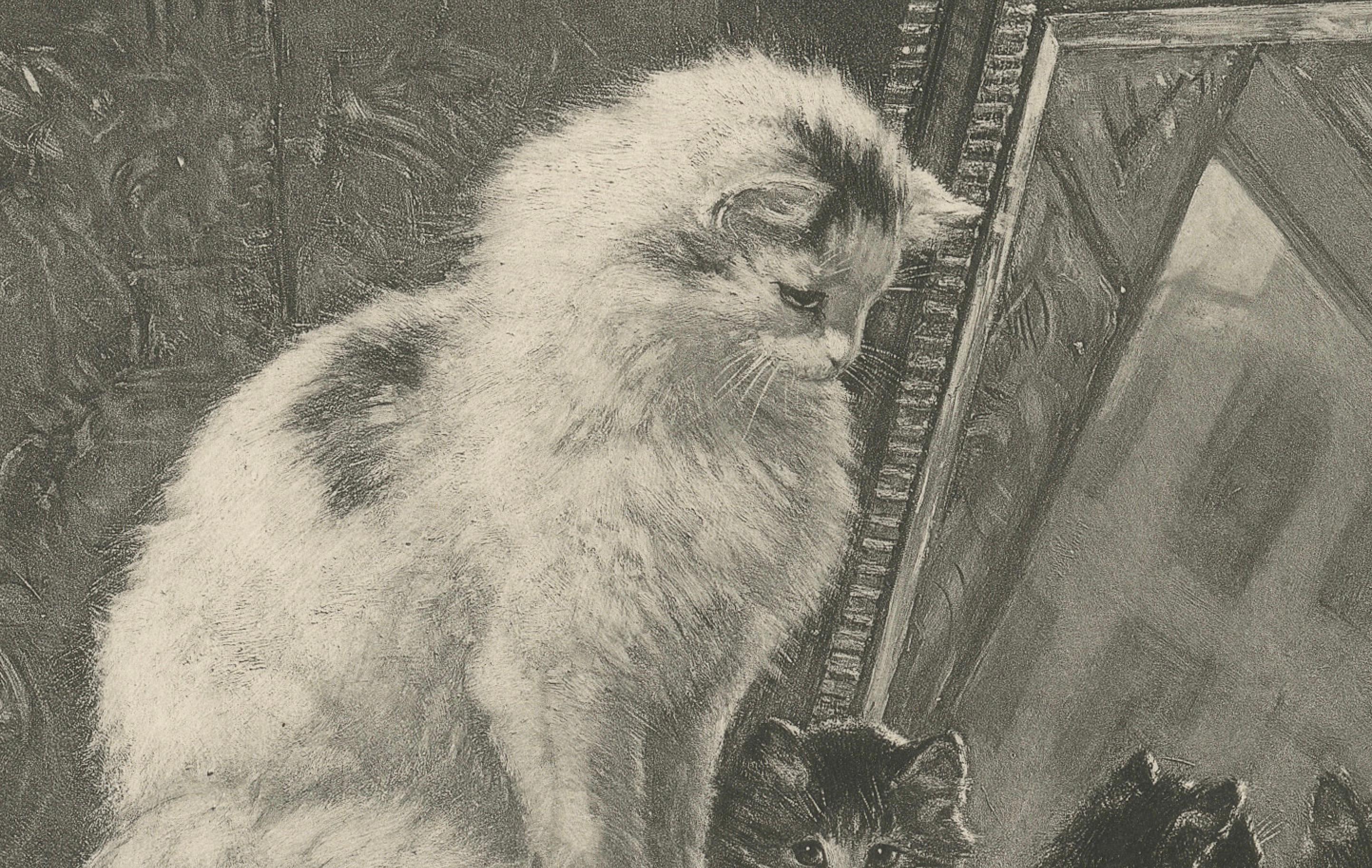 « Curiosity Reflected - Cats and Kittens par Henriette Ronner (1894) Bon état - En vente à Langweer, NL
