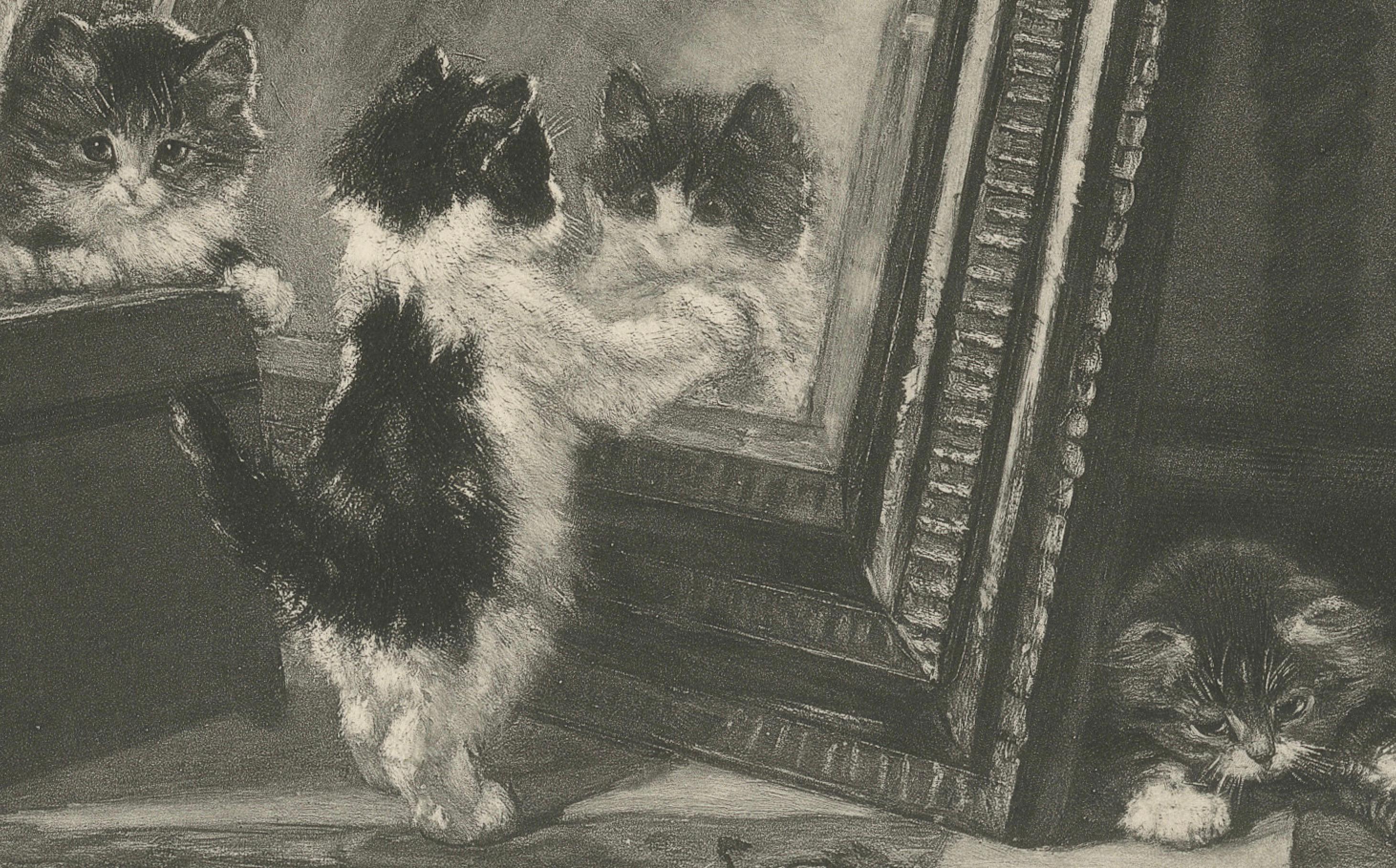 Fin du XIXe siècle « Curiosity Reflected - Cats and Kittens par Henriette Ronner (1894) en vente