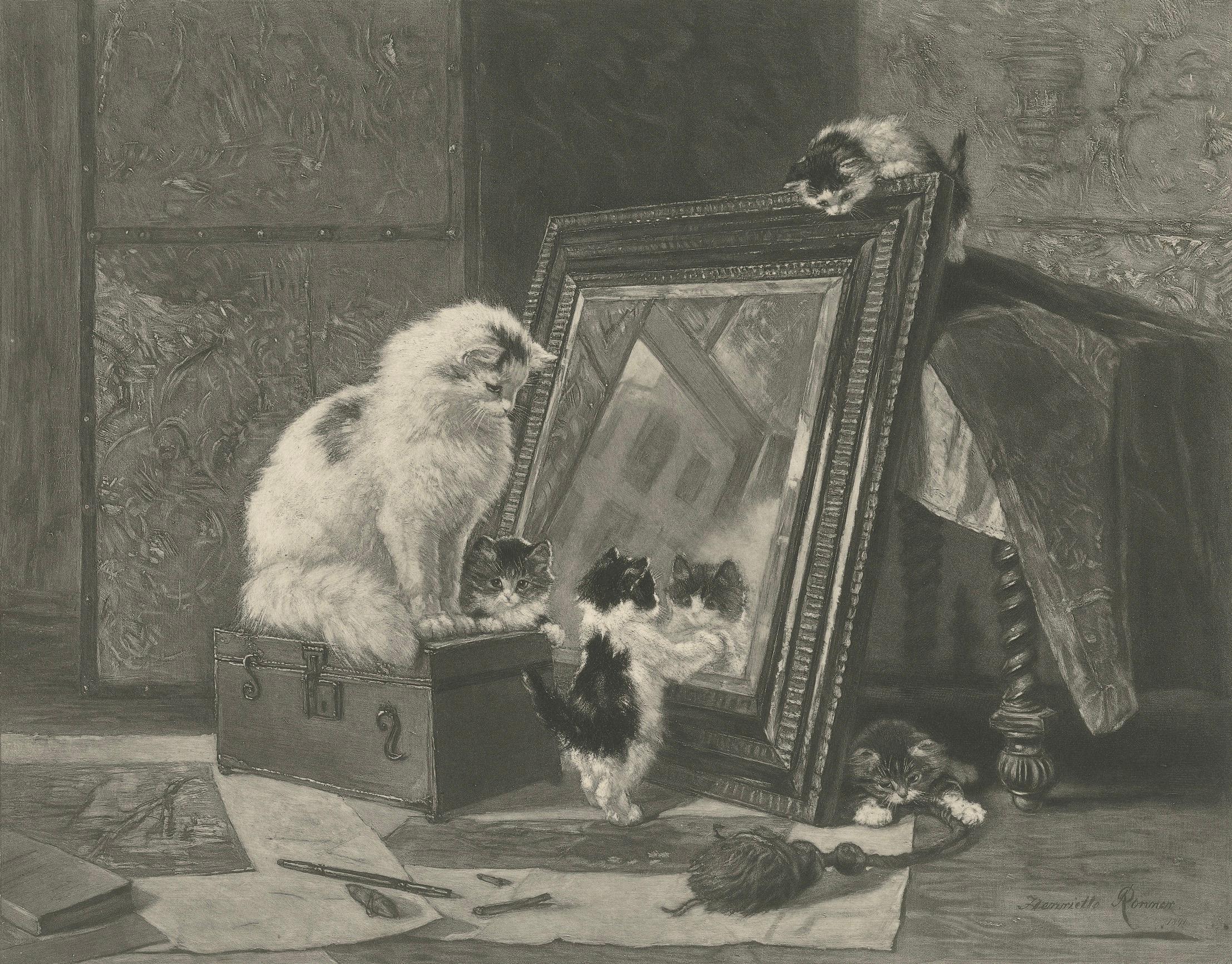 Papier « Curiosity Reflected - Cats and Kittens par Henriette Ronner (1894) en vente