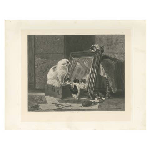 "Curiosity Reflected" - Cats and Kittens by Henriette Ronner (1894)