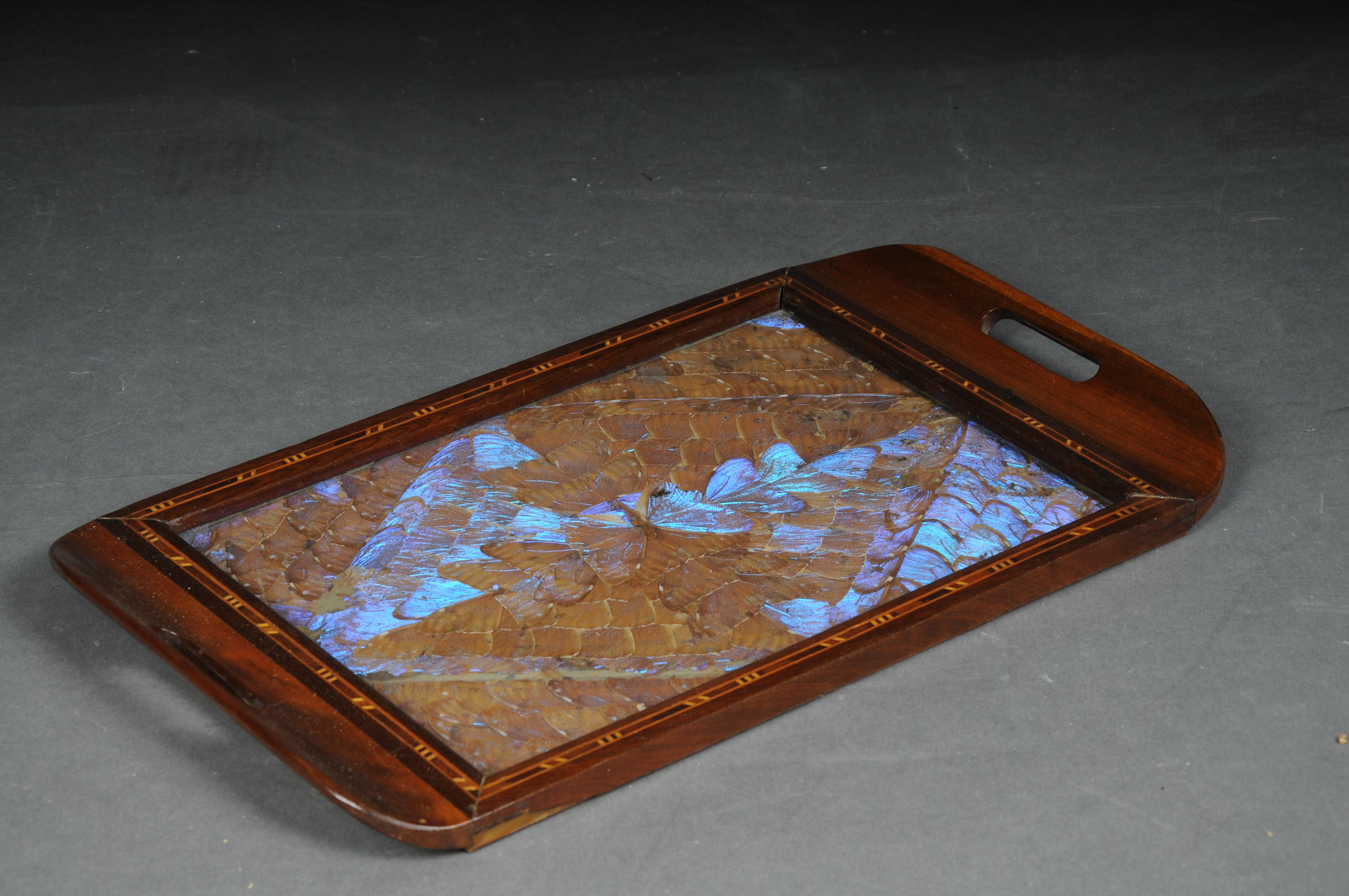 Schillerndes antikes Tablett mit echten Schmetterlingsflügeln im Angebot 5