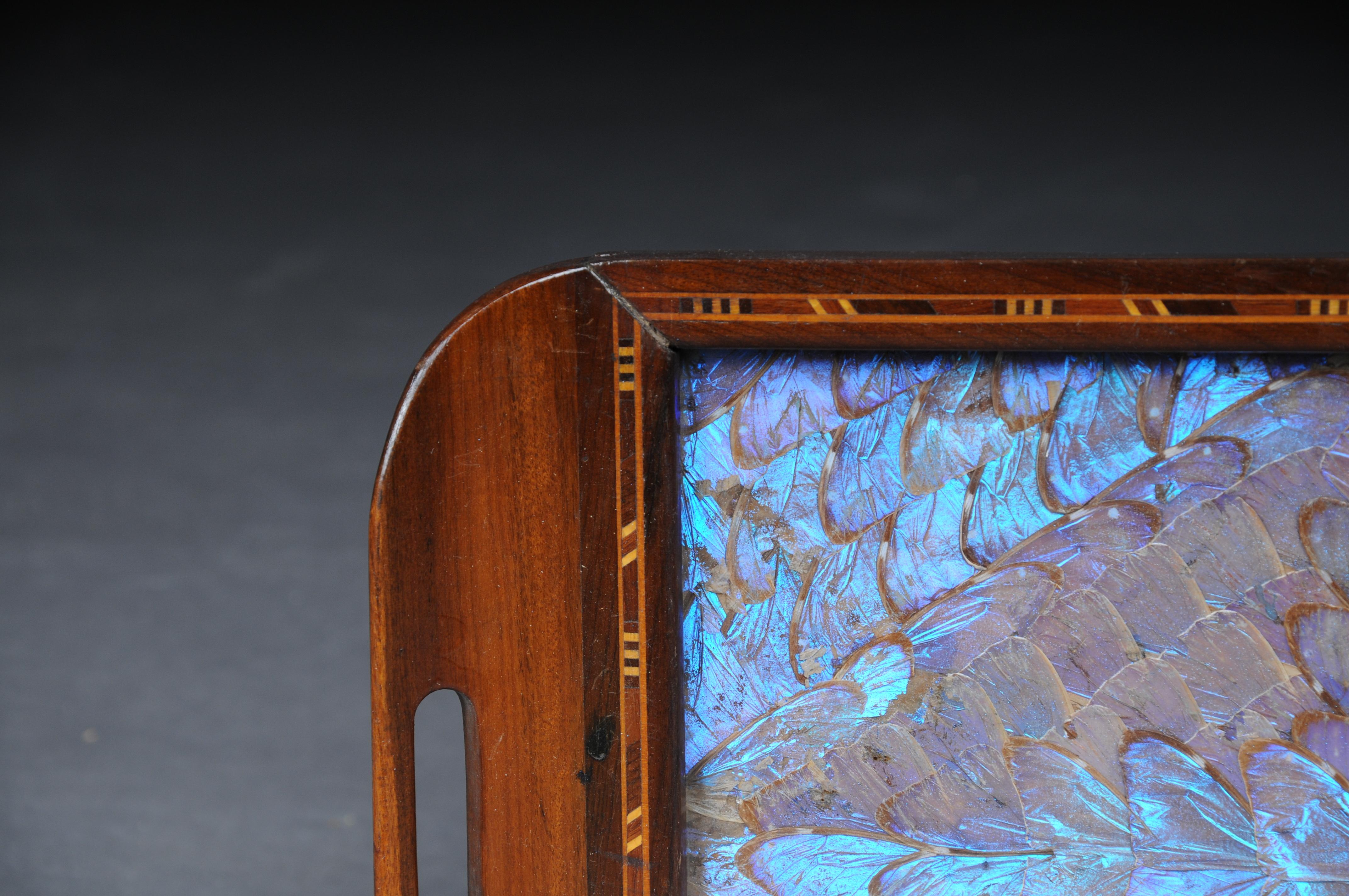 Kurioses antikes Tablett mit echten Schmetterlingsflügeln


Rahmen aus Massivholz mit Intarsieneinlagen. In der Mitte ein violett schimmerndes Muster aus echten Schmetterlingsflügeln. Äußerst ungewöhnlich und kurios. Das Tablett hat an der Rückseite