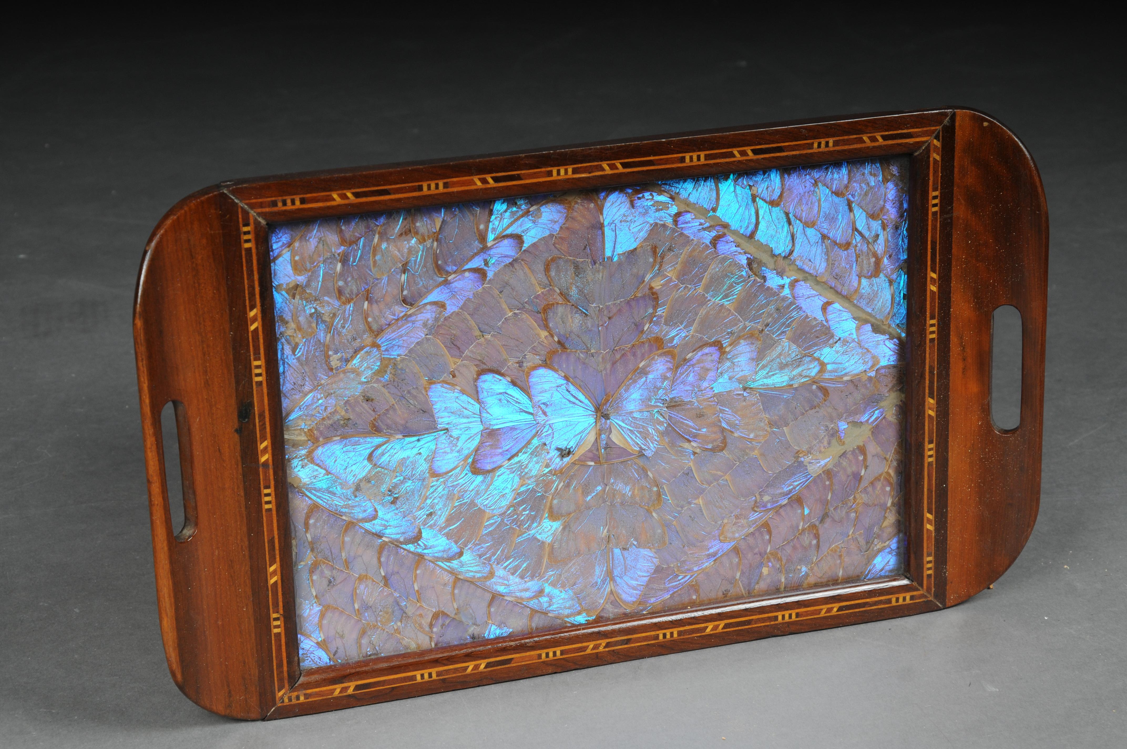 Schillerndes antikes Tablett mit echten Schmetterlingsflügeln im Angebot 2