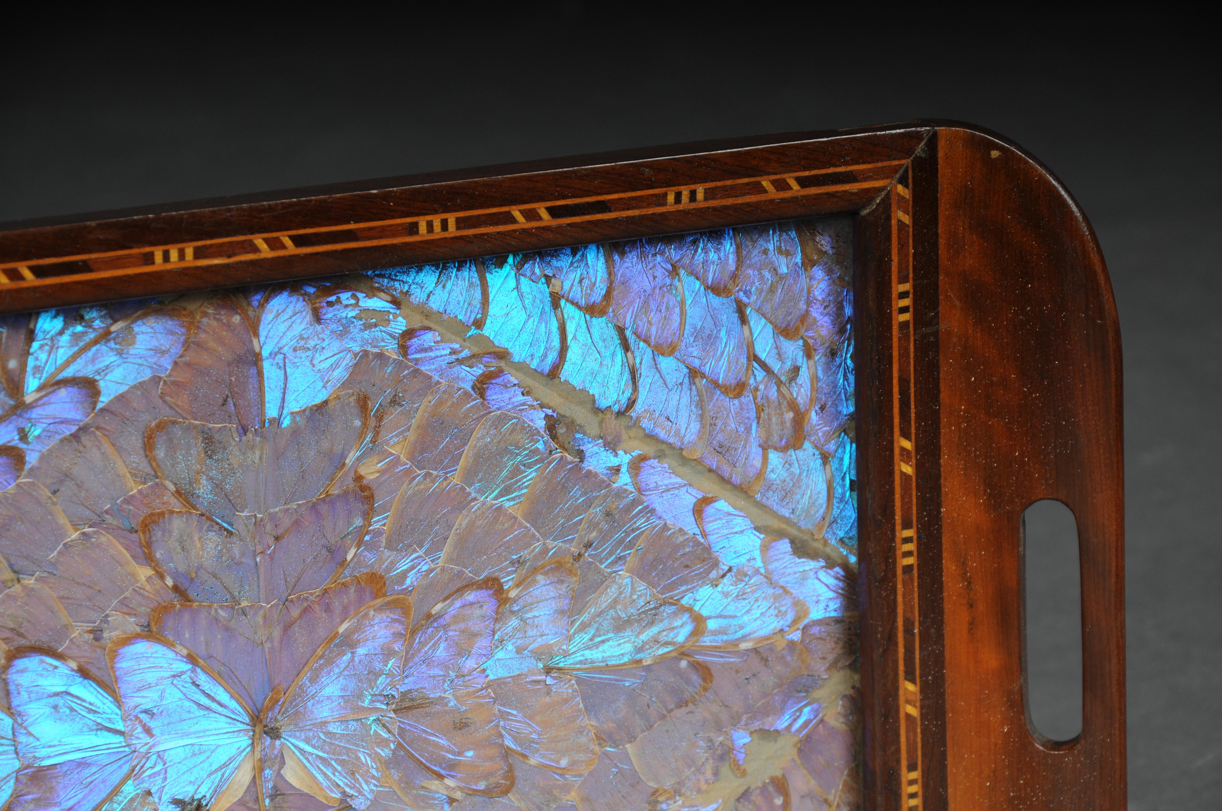 Wood Curious antique tray real butterfly wings For Sale