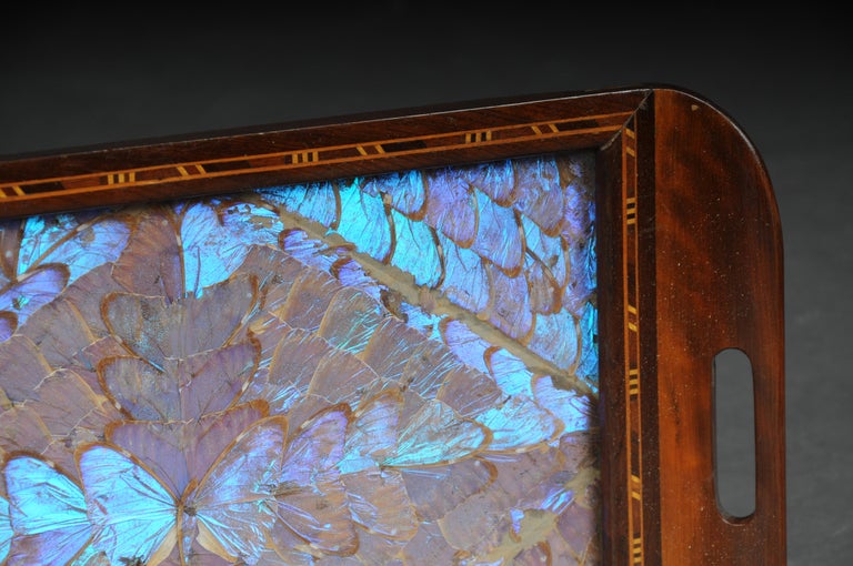 Plateau Brésilien Mosaïque – Bois, Nacre Et Vraies Ailes De Papillons – Vintage