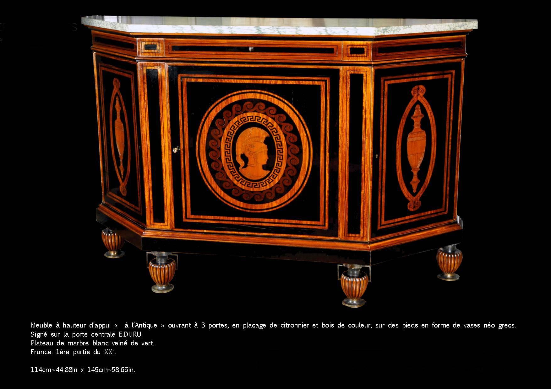 Neoclassico Curiosa credenza francese firmata E. Duru in vendita
