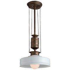 Curious Pendant Lamp Curious Pendant Lamp