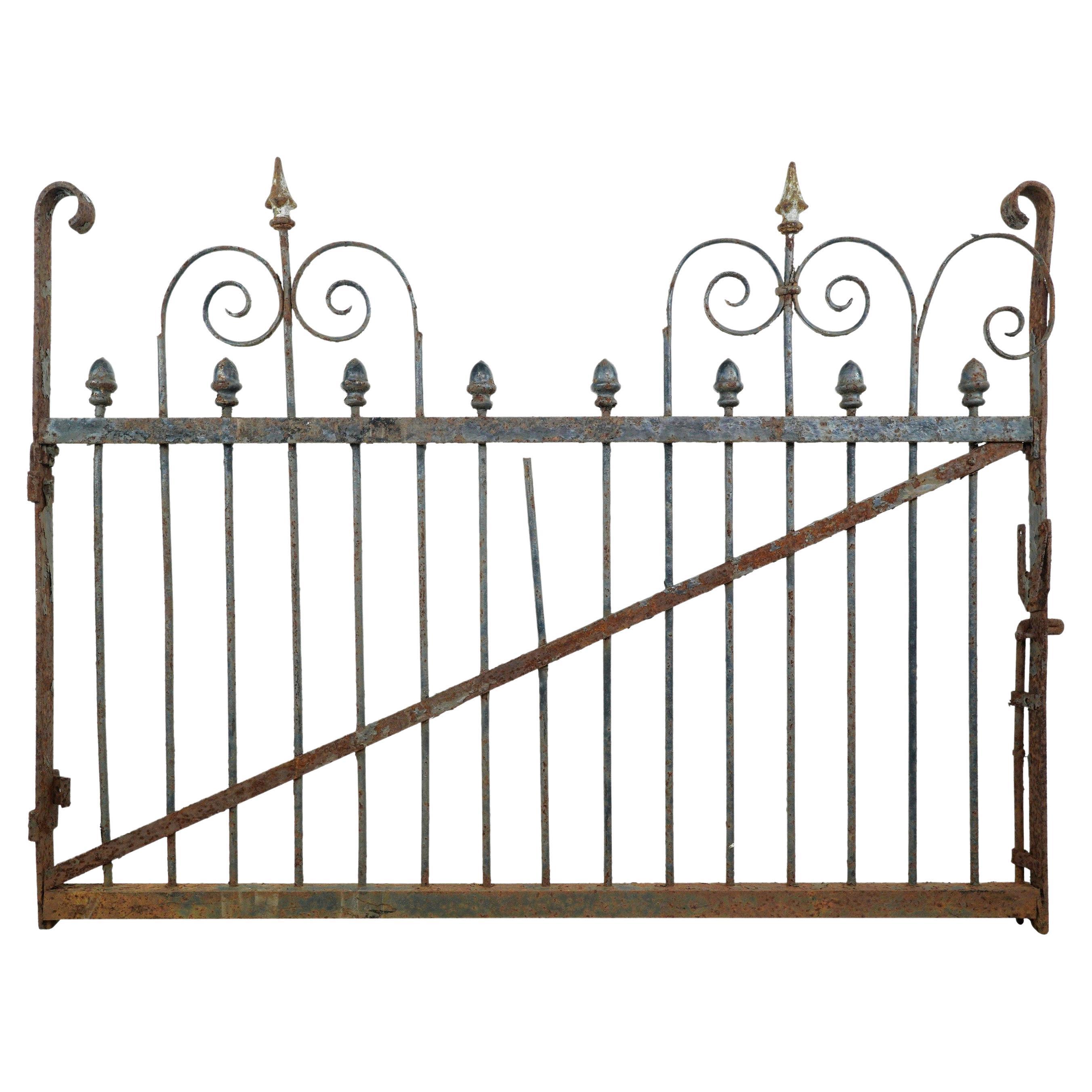 Curled Bars Wrought Iron 53 in. Privacy Yard Gate For Sale