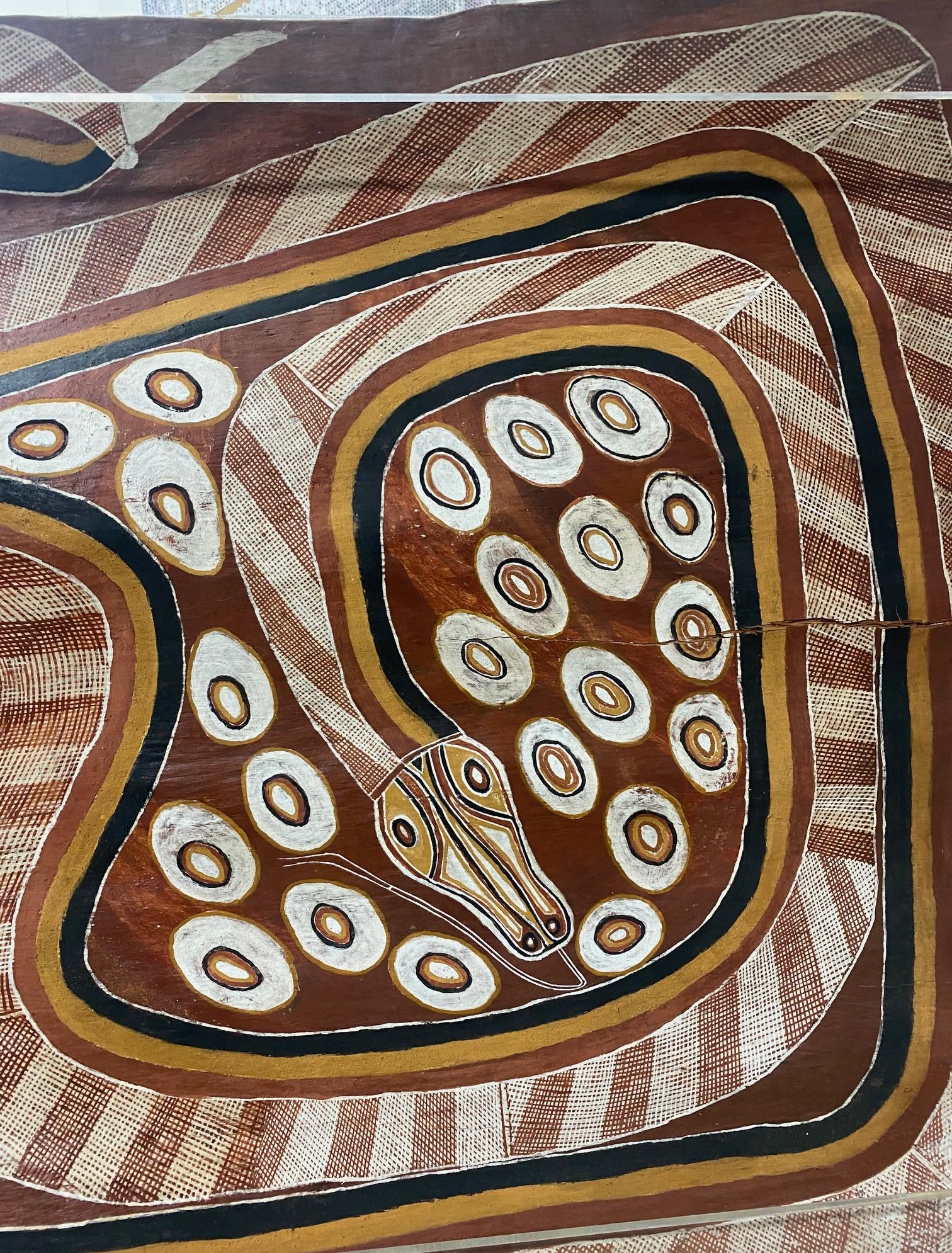 Acrilico Curly Bardkadubbu Grande Arte Aborigena Australiana Pittura originale di serpente di corteccia in vendita