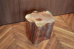 Mesa auxiliar contemporánea de acero inoxidable de Anadora Lupo