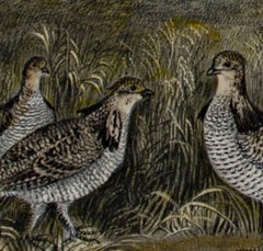 19th century color lithograph birds landscape nature grass sky water figure