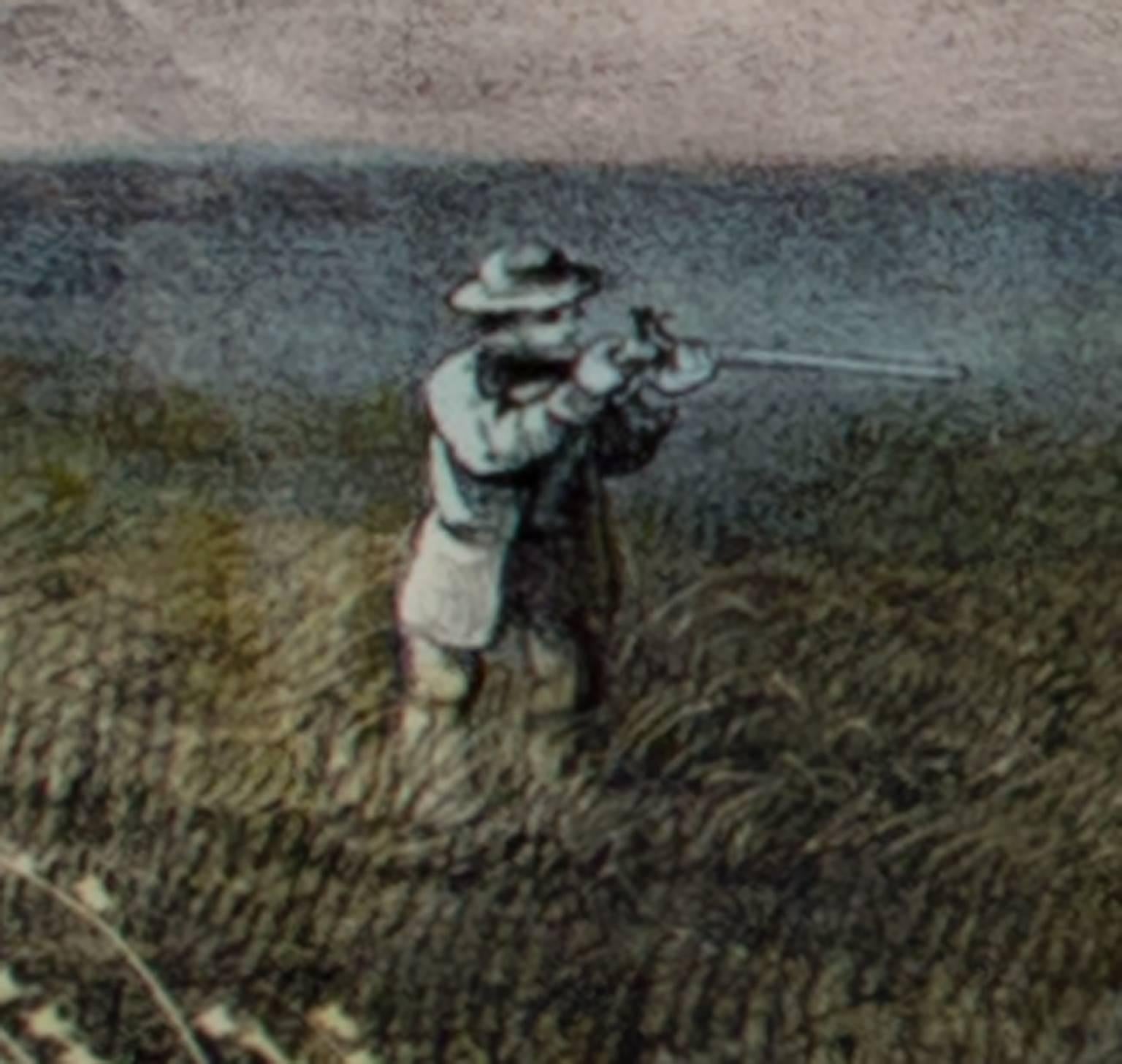 litografia a colori del XIX secolo uccelli paesaggio natura erba cielo acqua figura - Print Altro stile artistico di Currier & Ives