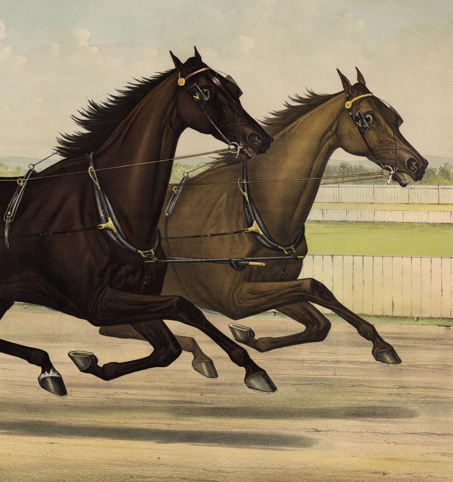 The Celebrated Trotting Mares Maud S. and Aldine... 1