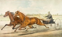 The Celebrated Trotting Team Edward and Swiveller