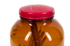 Erinnerungen an einen verstorbenen