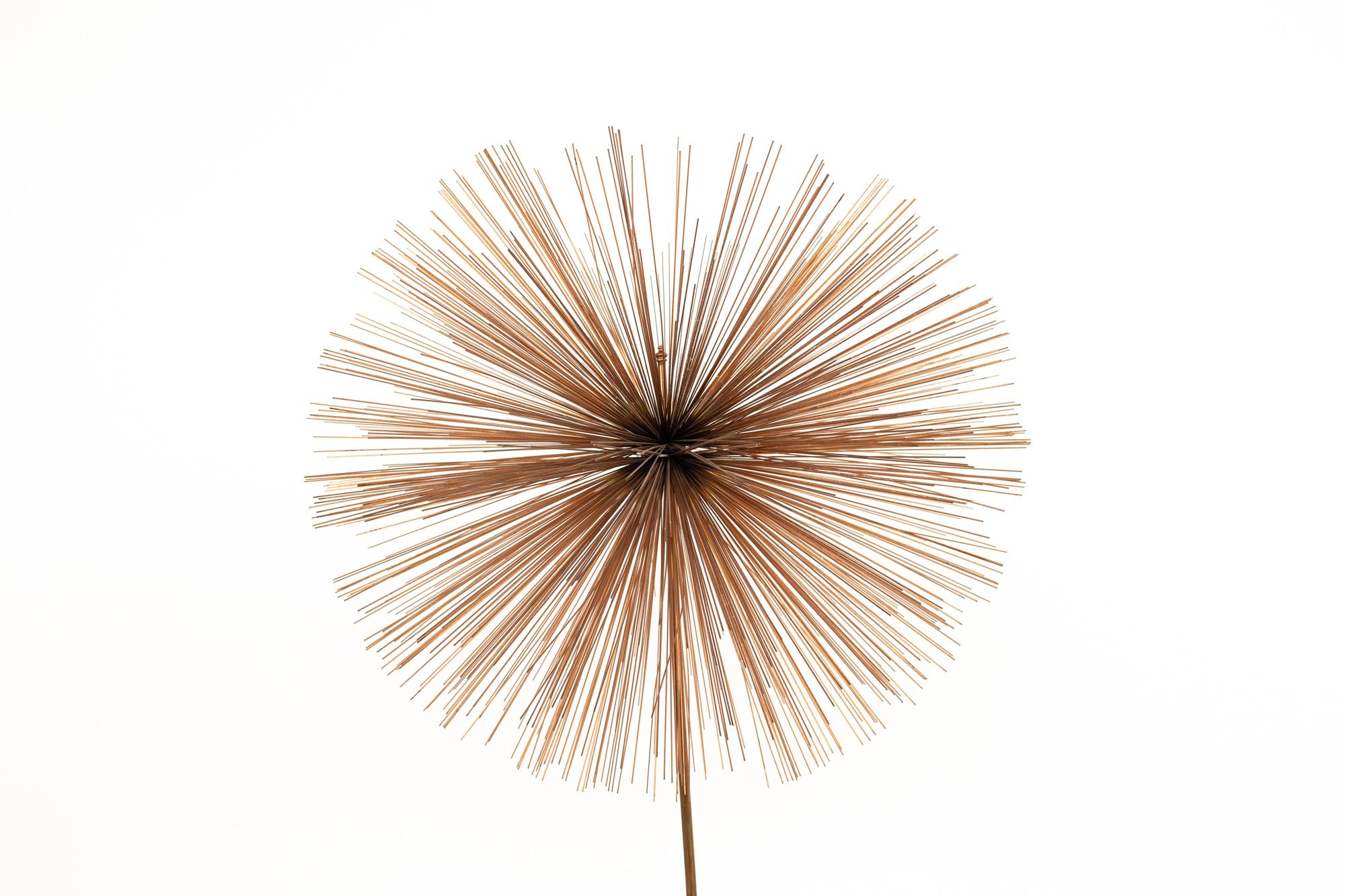 Curtis Jere Mid Century  Pom Urchin sculpture
Sculpture measures: 18 wide x 18 deep x 35 high

This sculpture is in great vintage condition.
 