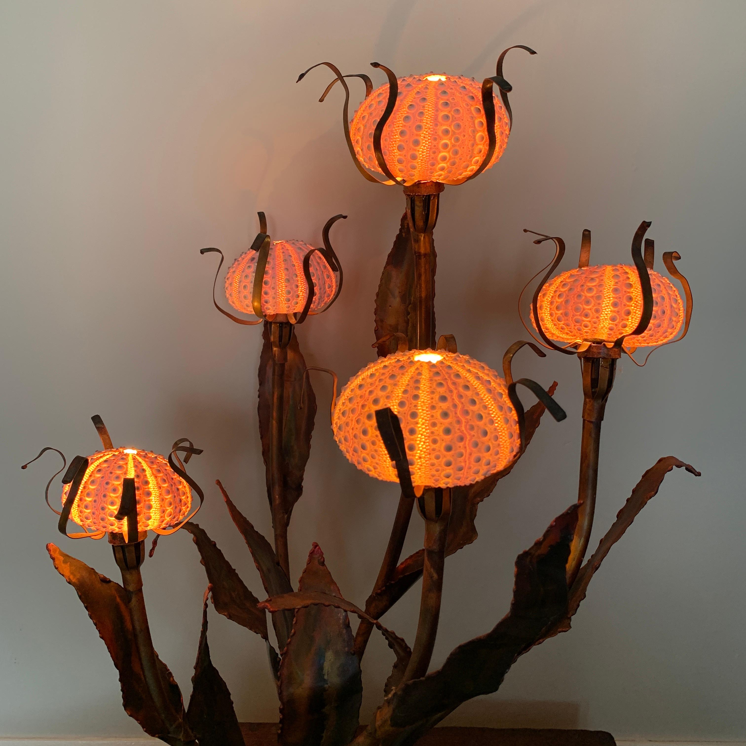 sea urchin lamps