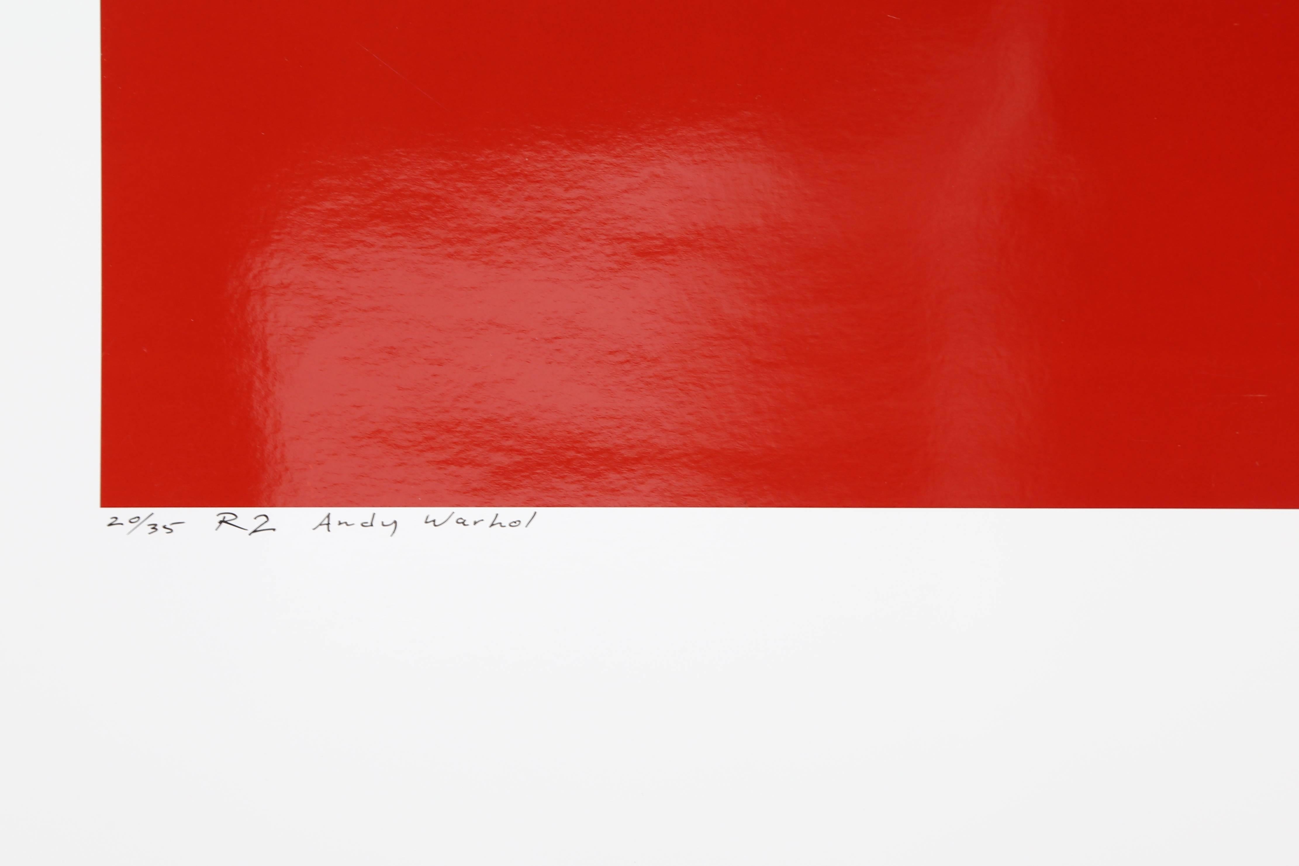Andy Warhol Red Series 2, Photo by Curtis Knapp 1