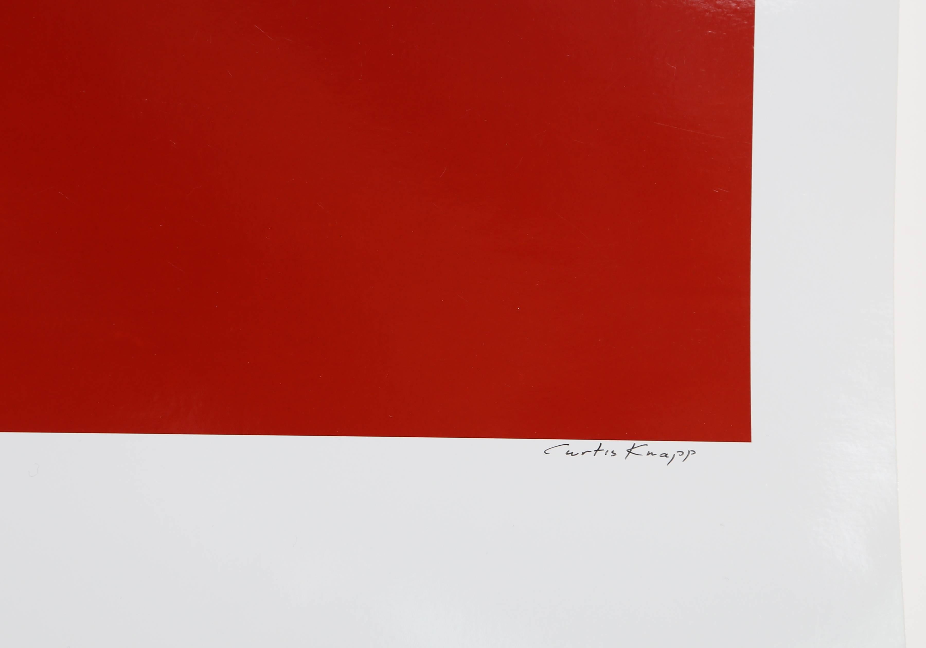 Andy Warhol Red Series 2, Photo by Curtis Knapp 2