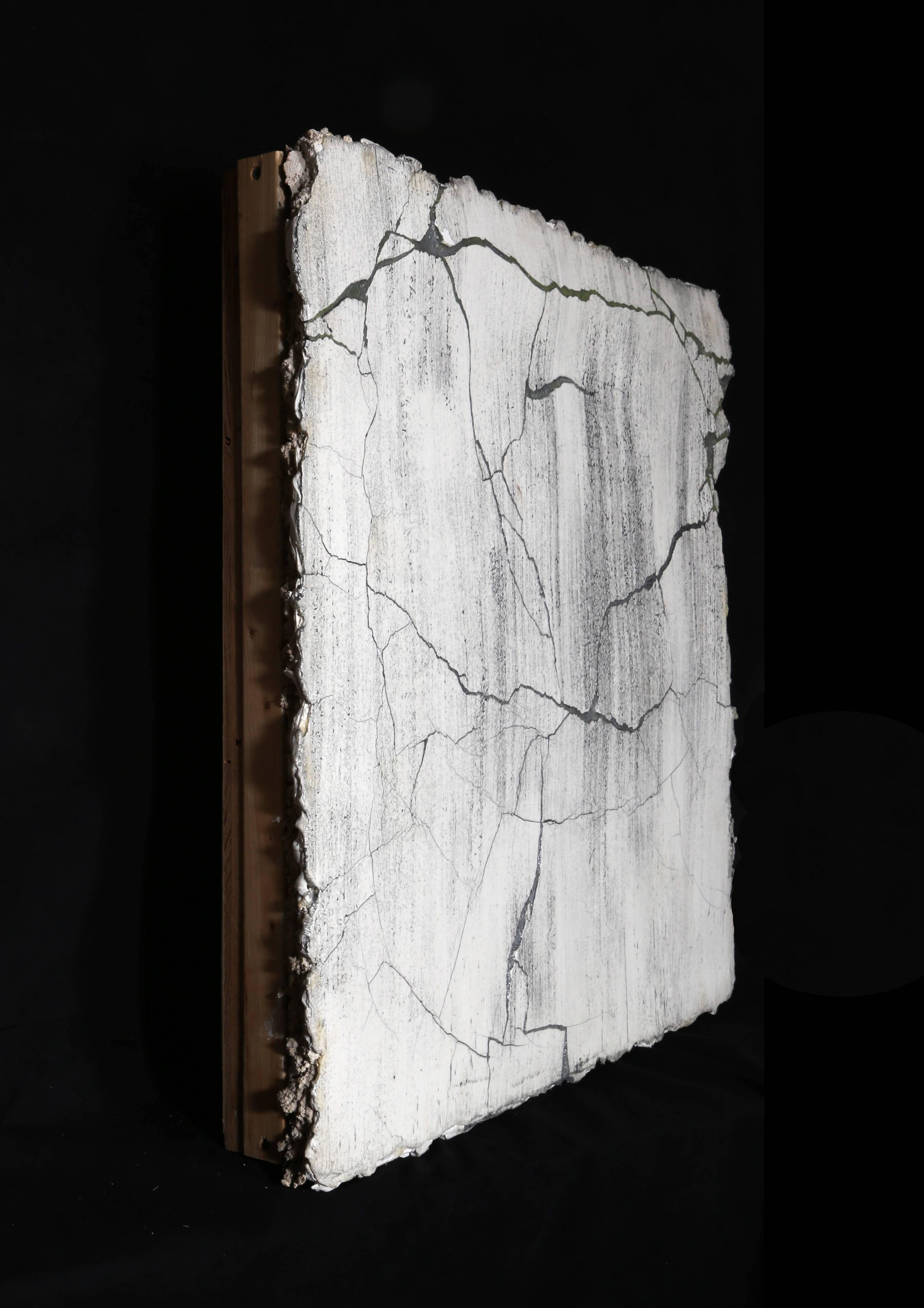 Broken Wandschild (Konzeptionell), Sculpture, von Curtis Mitchell