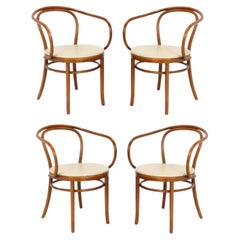 Sillas de comedor de madera curvada de Thonet Juego de cuatro sillones